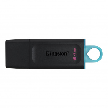 Memoria USB Kingston Technology DTX/64GB