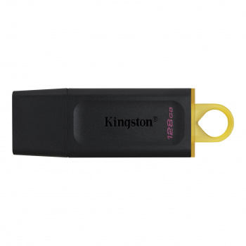 Memoria USB Kingston Technology DTX/128GB